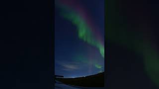 Northern Lights in Alberta Canada on October 10 2024 gopro auroraborealis northernlights [upl. by Ritz]