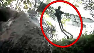 5 Mysterious Creatures Caught on Camera [upl. by Oiramat990]