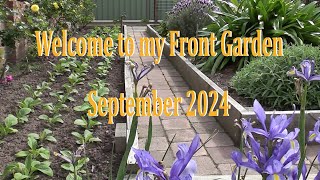 My Front Garden Plants September 2024 [upl. by Sitnik115]