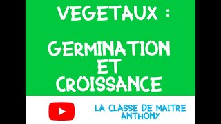 Végétaux  germination et croissance [upl. by Skeie79]