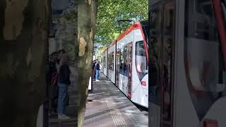 Hague tram approaching City Korte Voorhout Holland 🇳🇱 223pm 7 Sep 2024 [upl. by Agon]