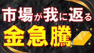 【金価格上昇】何を意味する？米国株は？ [upl. by Fujio]