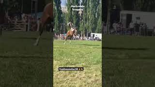 Emiliano Molina vs quotLa Centellaquot de Galber jineteadadecaballos jinetes horse [upl. by Tamberg]