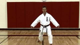 Basic Karate Kicks  Mawashigeri [upl. by Hollingsworth412]