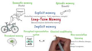 Longterm memory [upl. by Trutko]