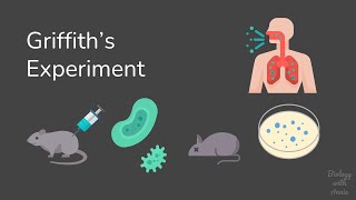 Griffiths Experiment [upl. by Chaddy]