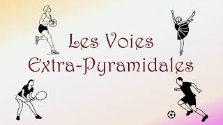 Neurofacile 8  Les voies extrapyramidales [upl. by Aerdnaek]