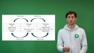 Differentiëren en Primitiveren  Bijles Wiskunde [upl. by Duaner156]