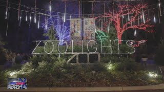 15th Annual Zoolights returns for another year at the Smithsonian National Zoo [upl. by Kcyrred]