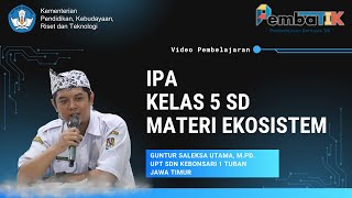 Video Pembelajaran Materi Ekosistem Kelas 5 SD  Tugas Pembatik Level 3 Tahun 2024 [upl. by Slin624]