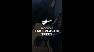 Radiohead  Fake Plastic Trees acoustic cover [upl. by Ellinej]