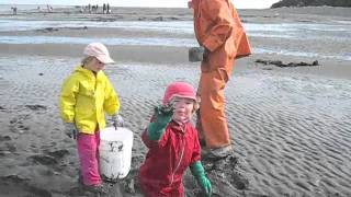 Razor Clamming [upl. by Corenda]