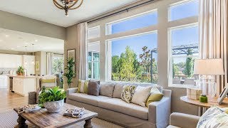 Add Beauty and Value to Your Home with Anlin Windows and Doors [upl. by Dafna]