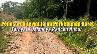 Jalan Ke Afdeling Prumpang Ternyata Jalannya Seperti ini [upl. by Rafi]