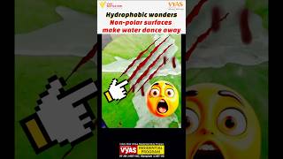 how Lilly leaves keep them dry hydrophobic wonder of nature science shorts yt [upl. by Adnilreb]