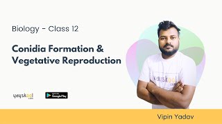 Conidia Formation amp Vegetative Reproduction  By Vipin Yadav  Biology Course  Class 12  Yayskool [upl. by Sid]