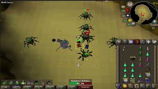 ASMR  Osrs  1 hour Killing Kalphites with cannon and rapier [upl. by Eihctir927]