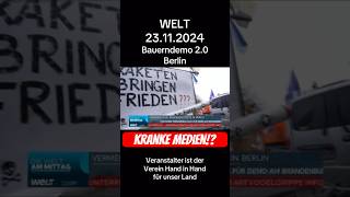 Berlin Demo 23112024 und WELT diffamiert friedliche Demonstrierende 😳 [upl. by Ann-Marie600]