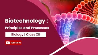 Principles and Processes  Biotechnology and its Principles  Biology  Class 12 [upl. by Vanni]