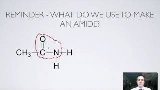 11 Ester and Amide Hydrolysis [upl. by Ytineres]