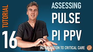 Pulse Pulsatility Index and Pulse Pressure Variation [upl. by Romanas]