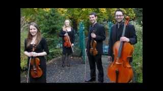 Didsbury String Quartet Dont Stop Me Now Queen [upl. by Nanine]