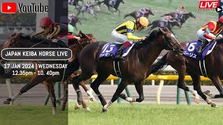 17 Jan 2024  Japan Horse Racing Live  日本赛马直播  Japan horse racing [upl. by Vrablik985]