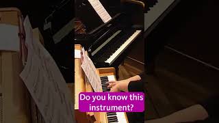 Do you know this instrument harrypotter classicalmusic [upl. by Hanselka786]