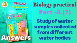 Study of water samples biology practical class 12 experiment 7 answers [upl. by Rossi]