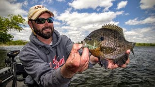 Panfish 101 — Angling Edge TV [upl. by Nahtan]