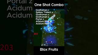 One Shot Acidum Rifle Combo Blox Fruits [upl. by Wamsley688]