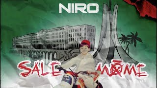 Niro feat soolking amiga Parole lyrics [upl. by Felicio]