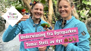 Undervisning fra Dyreparken Stell av dyr 🦧🐍🐒 [upl. by Turpin194]