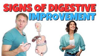 Signs You’re Improving Digestion [upl. by D'Arcy63]