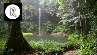 10 Hrs Rainforest amp Rain for Relaxing Nature Sounds for Sleep Meditation Insomnia SPA Study [upl. by Neivad640]