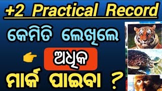 how to maintain practical record for board exam  practical record maintain correct process [upl. by Lindie]