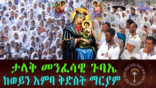 🛑LIVE ከወይን አምባ ቅድስት ማርያም ቤተክርስቲያን ታላቅ መንፈሳዊ ጉባኤ ንቁ ሚዲያ በቦታው ተገኝቶል እናተም በስደት ያላችሁ ለሌሎች ሼር ሼር አድርጉ [upl. by Kanya864]