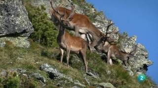 AUSTRIA Nockberge Montañas a las Puertas del Cielo [upl. by Adnak]