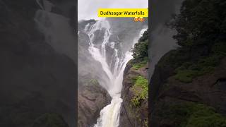 Dudhsagar Waterfalls Goa 😍😍goa dudhsagarwaterfall shorts [upl. by Nylqcaj]