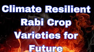 Climate Resilient Rabi Crop Varieties for Future [upl. by Oigolue107]