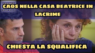 Grande Fratello Caos nella casa Beatrice Luzzi in lacrime chiesta la squalifica [upl. by Phelps]