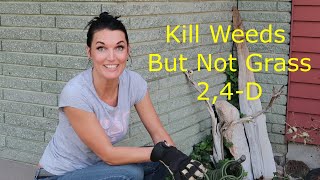 Kill Weeds But Not Grass With quot24Dquot [upl. by Elissa]