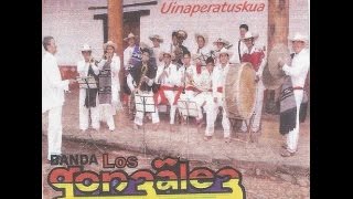 BANDA LOS GONZALEZ DE SAN ANDREZ  ALBUM P´ORHEPECHIRI UINAPERATUSKUA [upl. by Hnil]