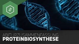 Proteinbiosynthese  Komplette Zusammenfassung fürs BioAbi [upl. by Romain]