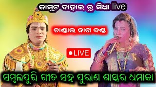 Sambalpuri danda video  ttr media live video chandal nag danda [upl. by Tirreg626]