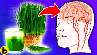 17 Wheatgrass Health Benefits That You SHOULDNT IGNORE [upl. by Novj]