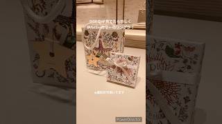 【DIOR】クリスマスシーズン始まった♪限定アクセサリー購入レビュー💎 [upl. by Felske]