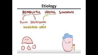 hemolytic uremic syndrome HUS [upl. by Clemen]