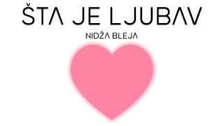 NIDŽA BLEJA  ŠTA JE LJUBAV [upl. by Dorweiler]