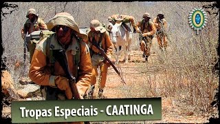 Tropas Especiais do Exército Brasileiro  Caatinga [upl. by Faro]